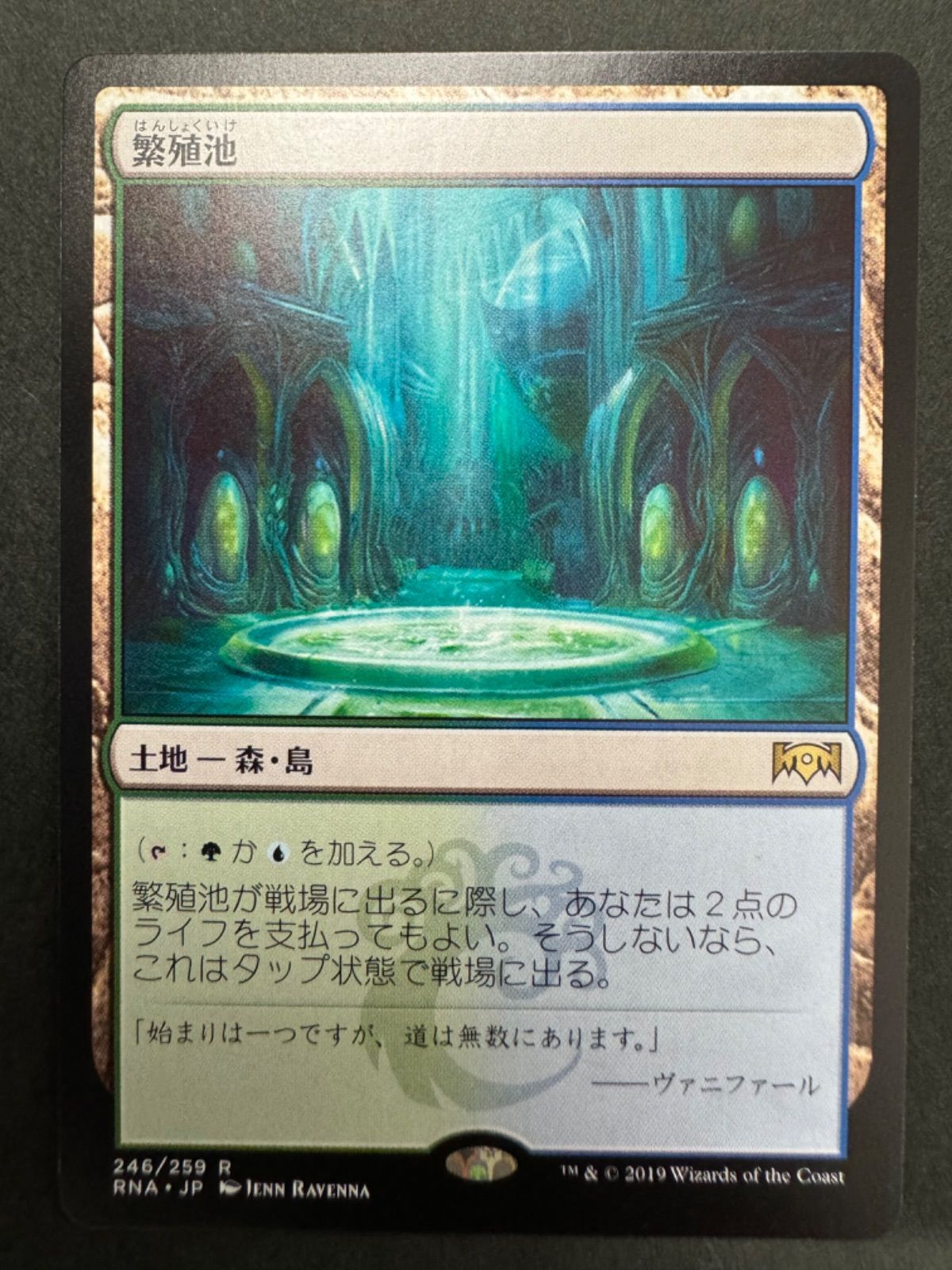 繁殖池 4枚セット MTG 繁殖池/Breeding Pool secret lair 4枚セット