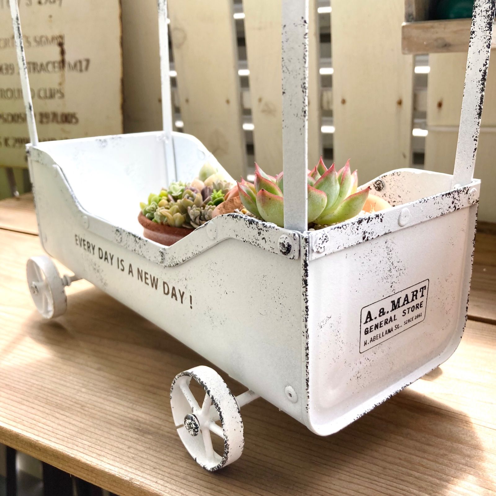 青いトタン屋根のワゴンプランター 多肉植物鉢 寄せ植え 青いトタン屋根のワゴンプランター 多肉植物鉢 寄せ植え