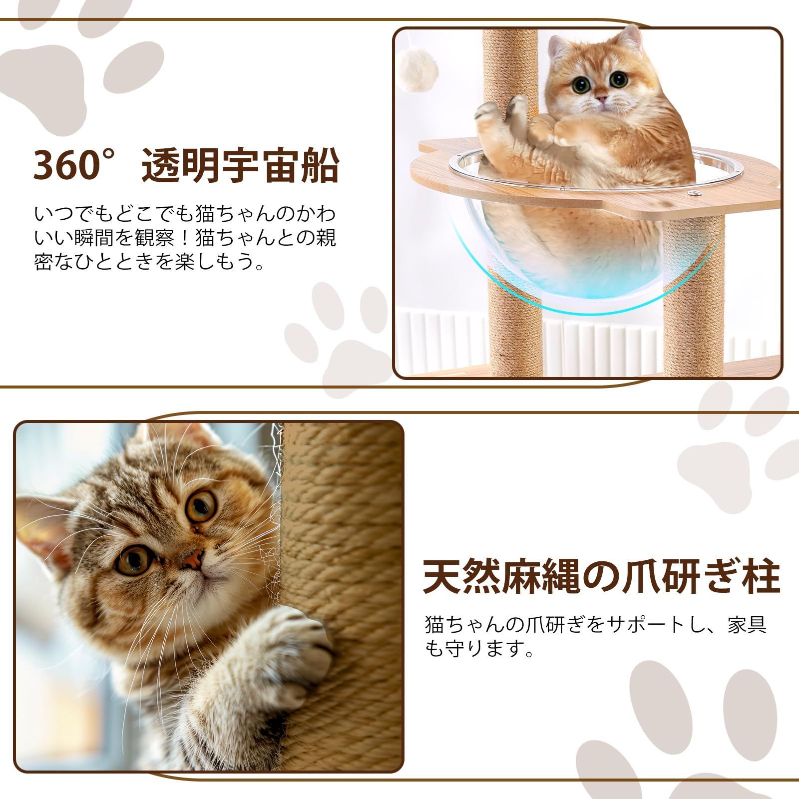 ねこ キャットステップ