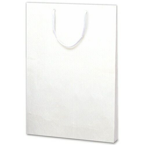 まとめ買い ササガワ 手提げ袋 額縁用 290×45×395mm 10枚入 50-6799 ×3セット