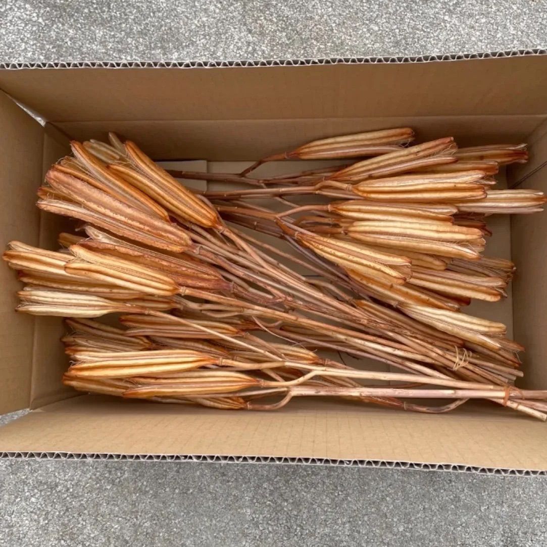 ユリ花殻 23本 花殻75個 ドライフラワー 花材 鉄砲百合 スワッグ