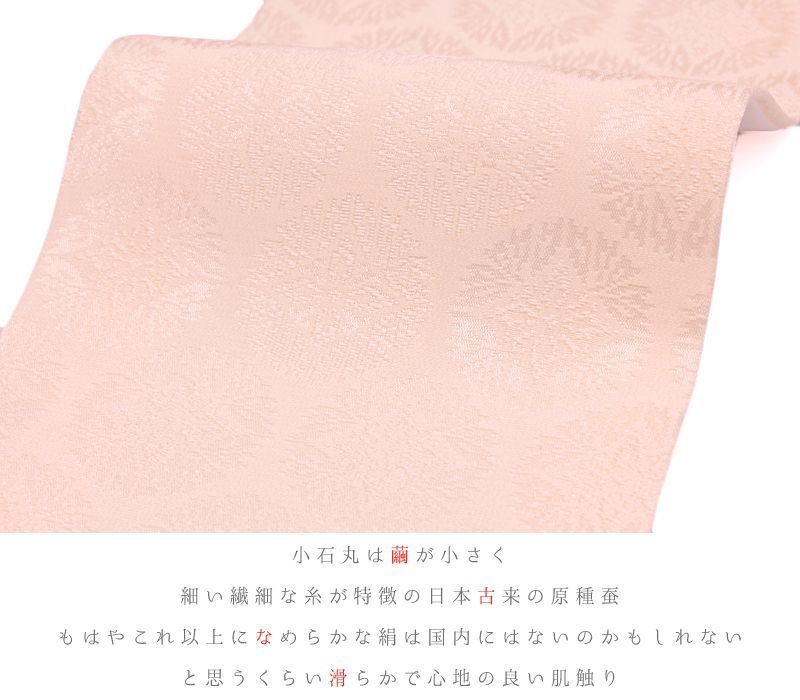 撫子 菊