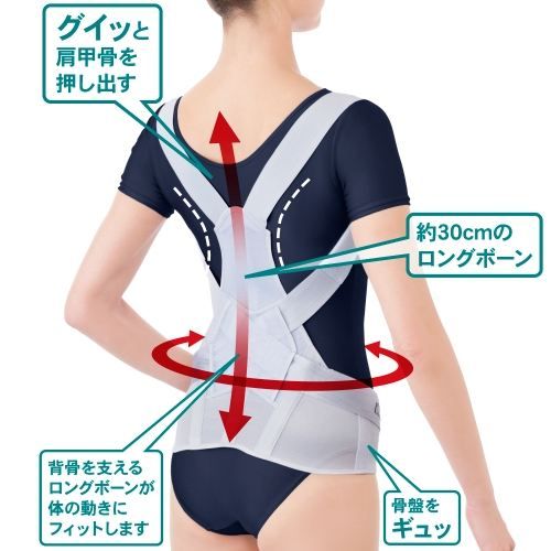 がっちり背すじベルト