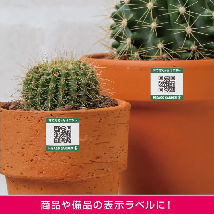 40面 角丸