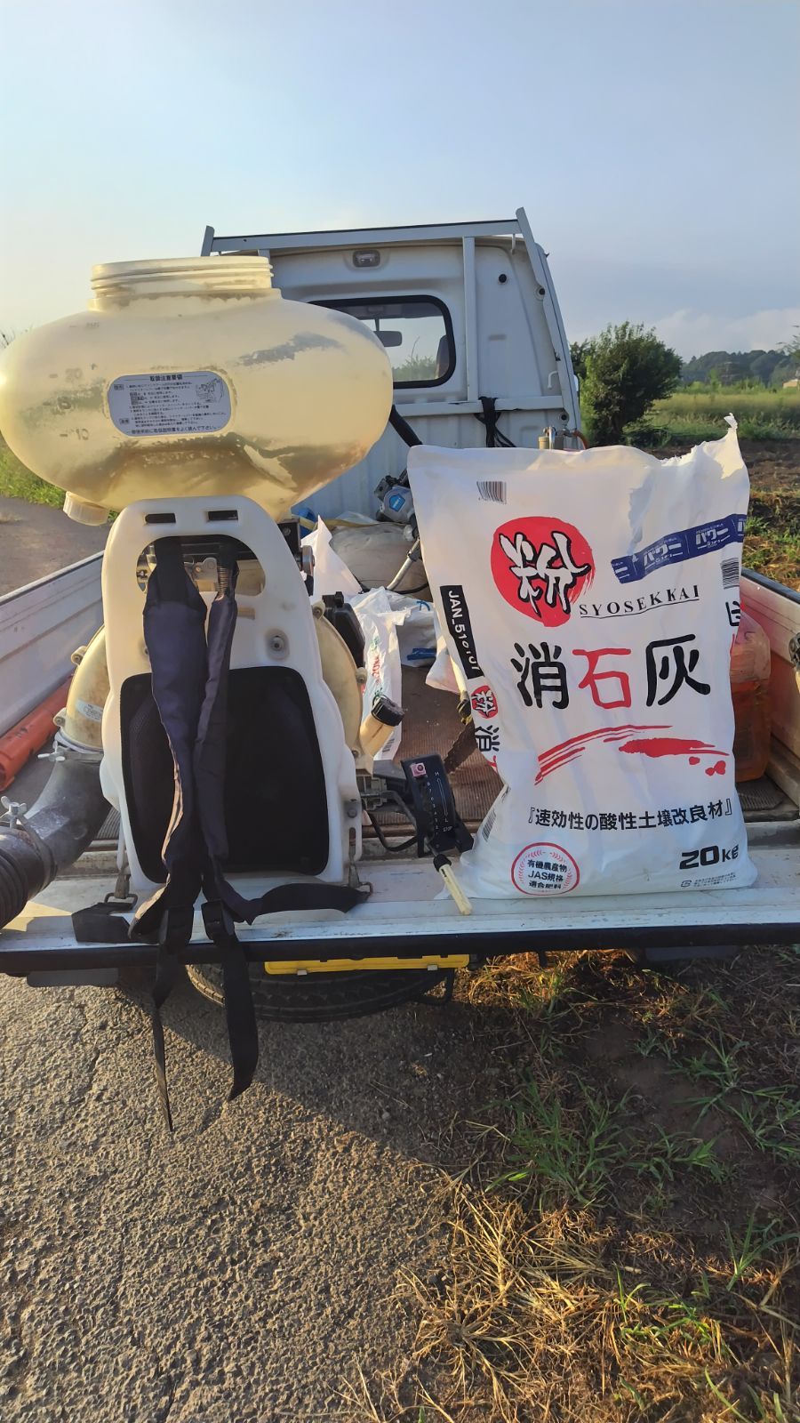 ストロベリーキャンドル米10キロ玄米