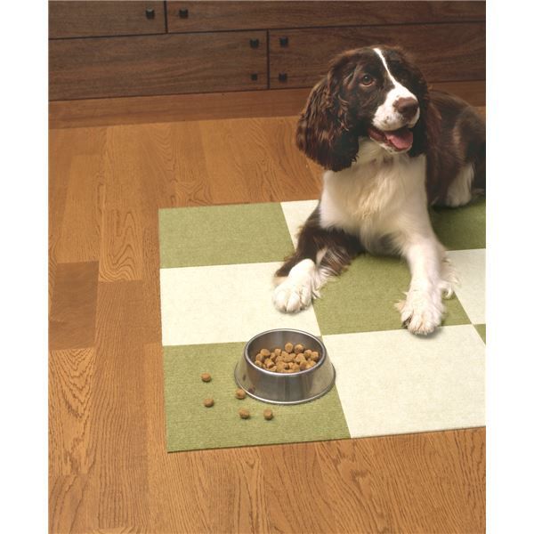 まとめ おくだけ吸着ペット用撥水タイルマット 同色20枚入 グリーン ペット用品 ×12セット STEELWINDOWSANDDOORS_COM