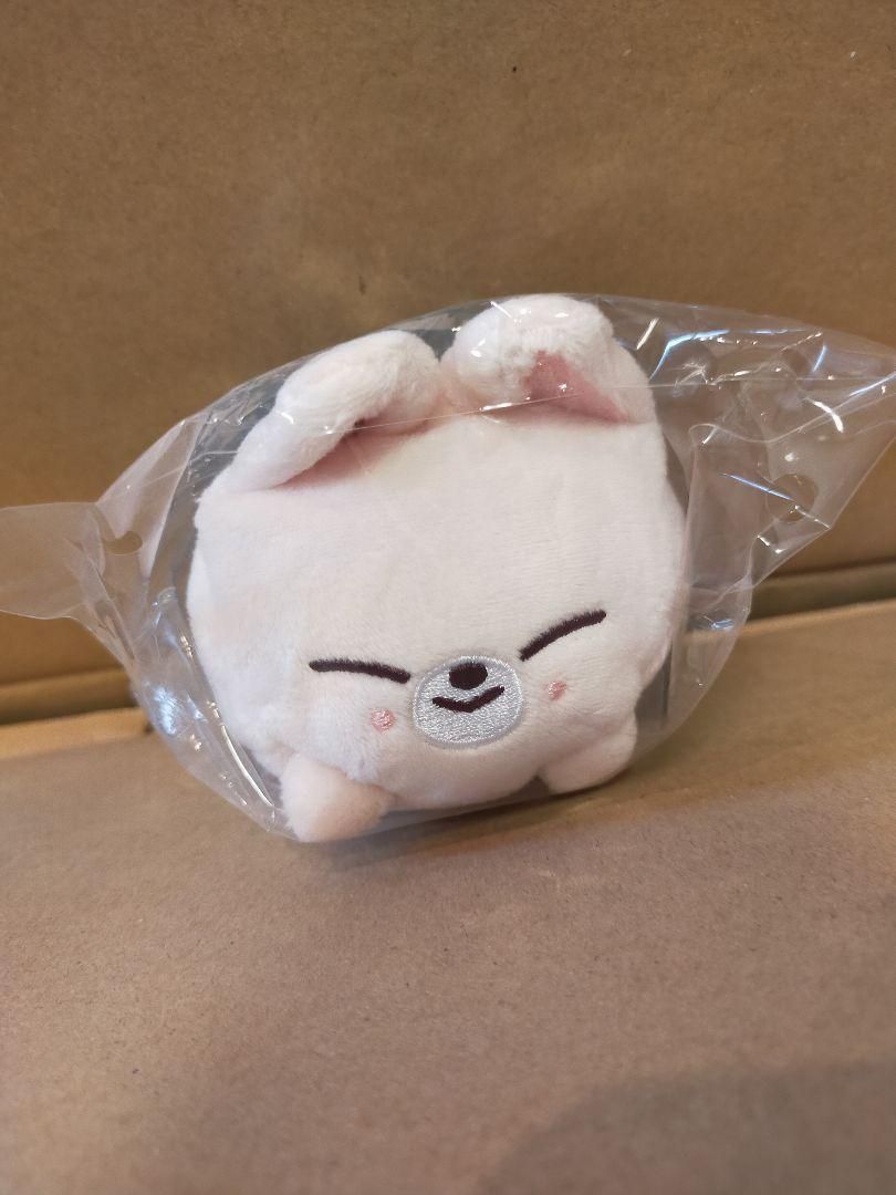 straykidsアイエン抱きぐるみバッグチャームSKZTOYWORLD Amazon.co.jp: アイエン ぬいぐるみ 動物 非公式 10cm