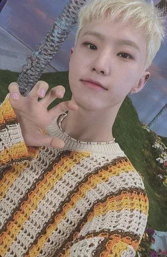 その他 HOSHI jp.ktown4u.com : [Seventeen HOSHI Gift] CGP Washed Cotton