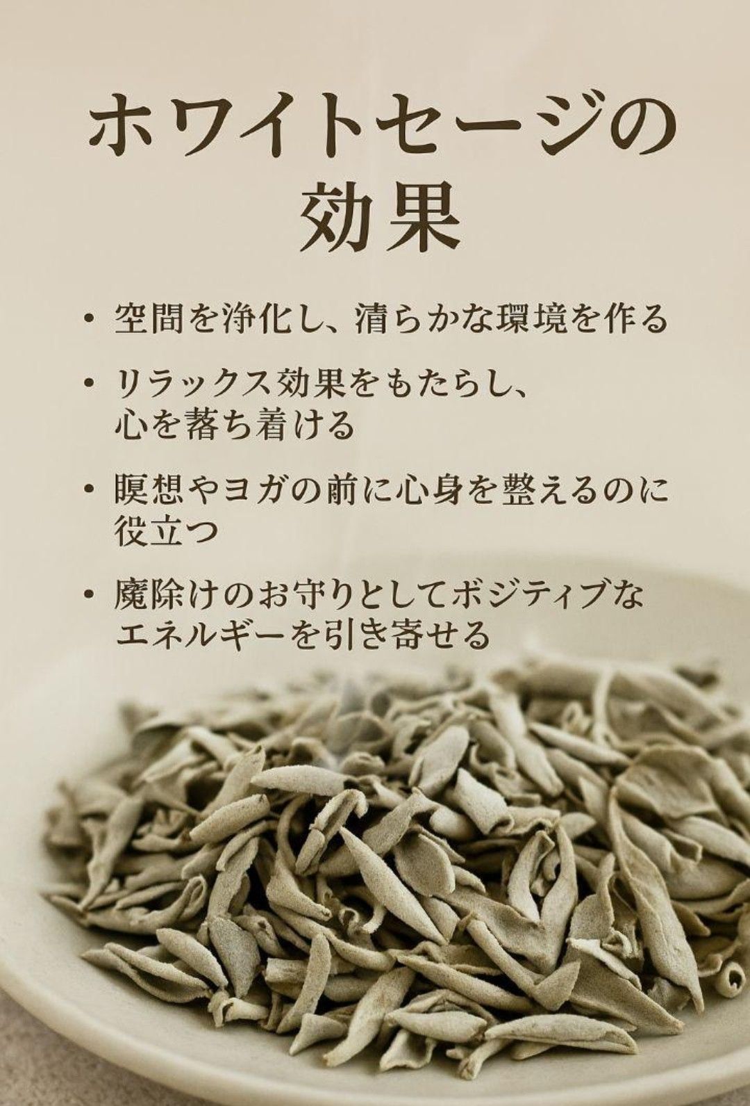 激安価格☆無農薬ホワイトセージ枝付き1kg 業務用価額AAA 【公式通販】
