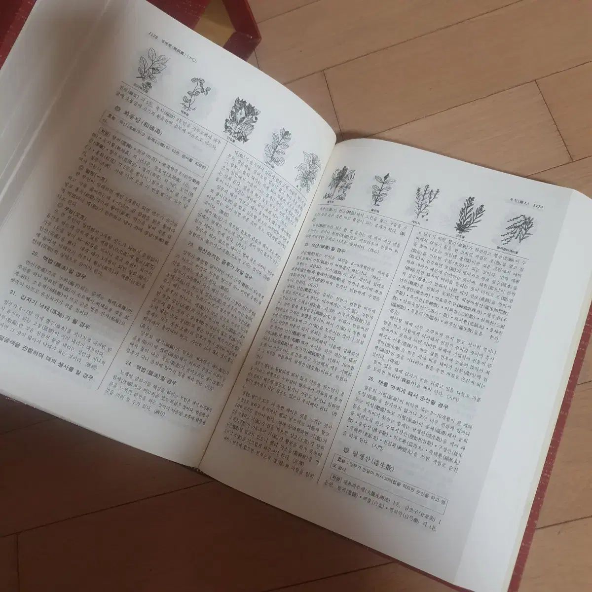 完全版