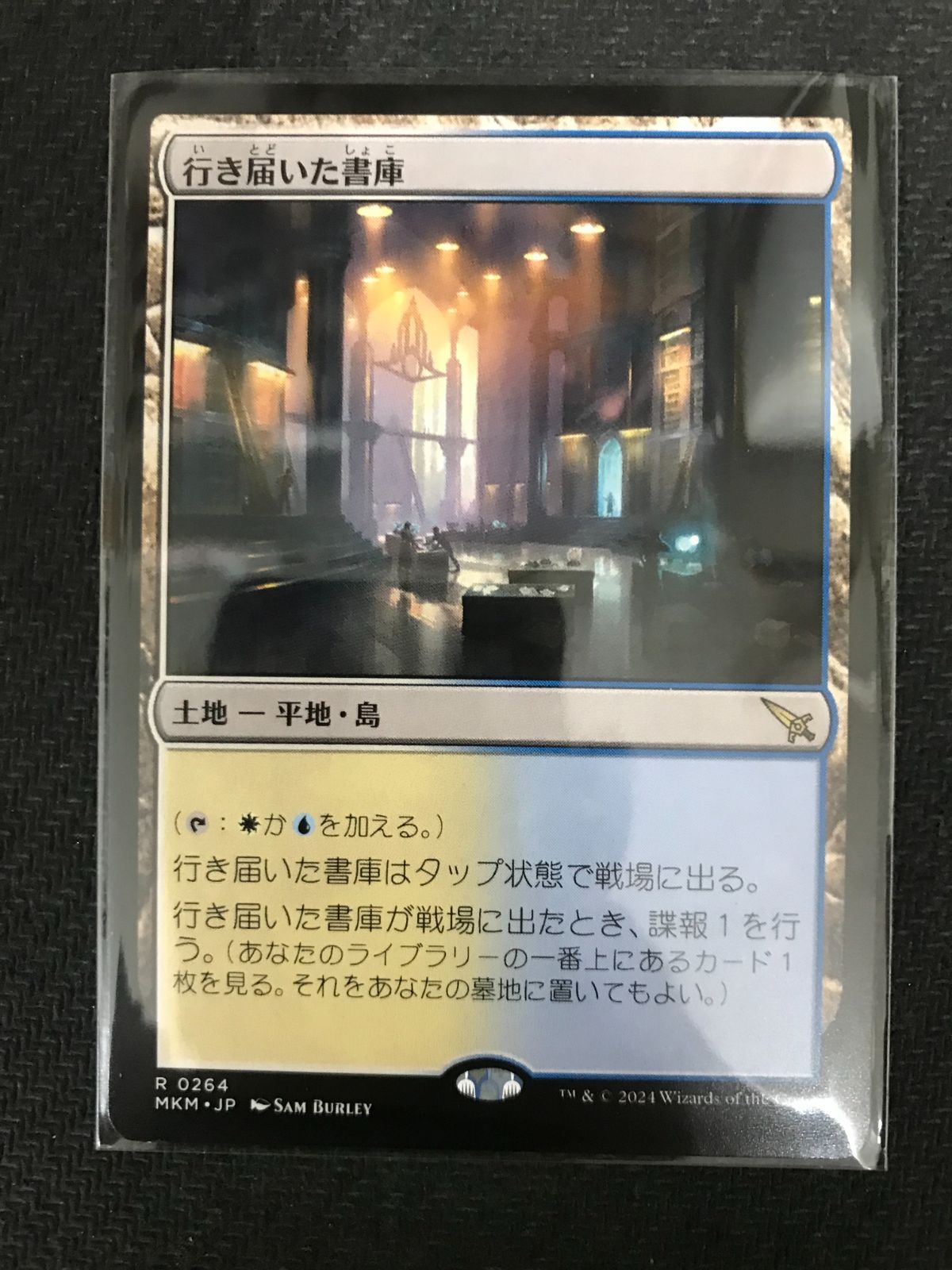 MTG　行き届いた書庫　3枚 MTG 行き届いた書庫 3枚 行き届いた採掘 (Meticulous Excavation