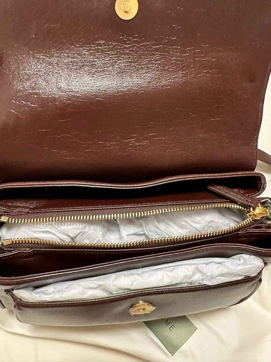 シャモア ブラウン