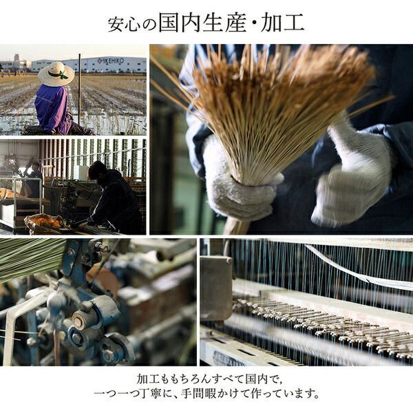 ベージュ 裏面不織布