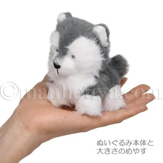 ハスキーぬいぐるみ 手を挙げたデザイン 受注商品】ぬいぐるみ・シベリアンハスキー（伏せ） | KOESEN