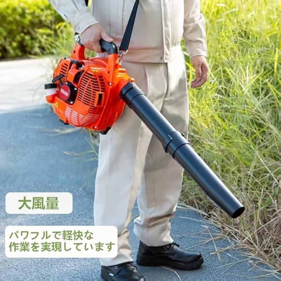 枯れ葉 吹き飛ばし