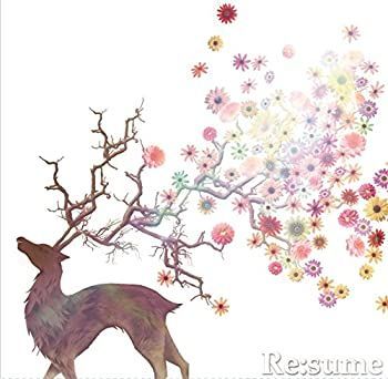 【-非常に良い】 Re:sume (TYPE-A)