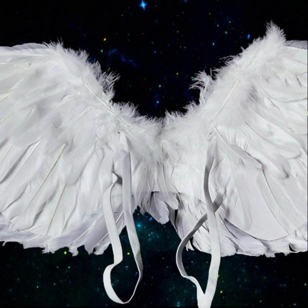 ハロウィン 天使エンジェル 天使の羽 コスプレ 仮装 文化祭 演劇