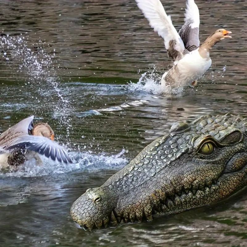 ワニ 水に浮かぶワニ ワニの頭 フェイク 装飾 フローティング