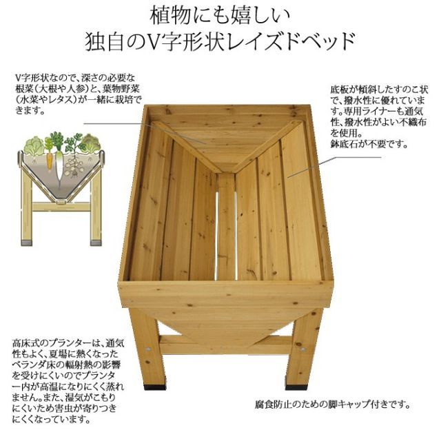 ホームベジトラグ