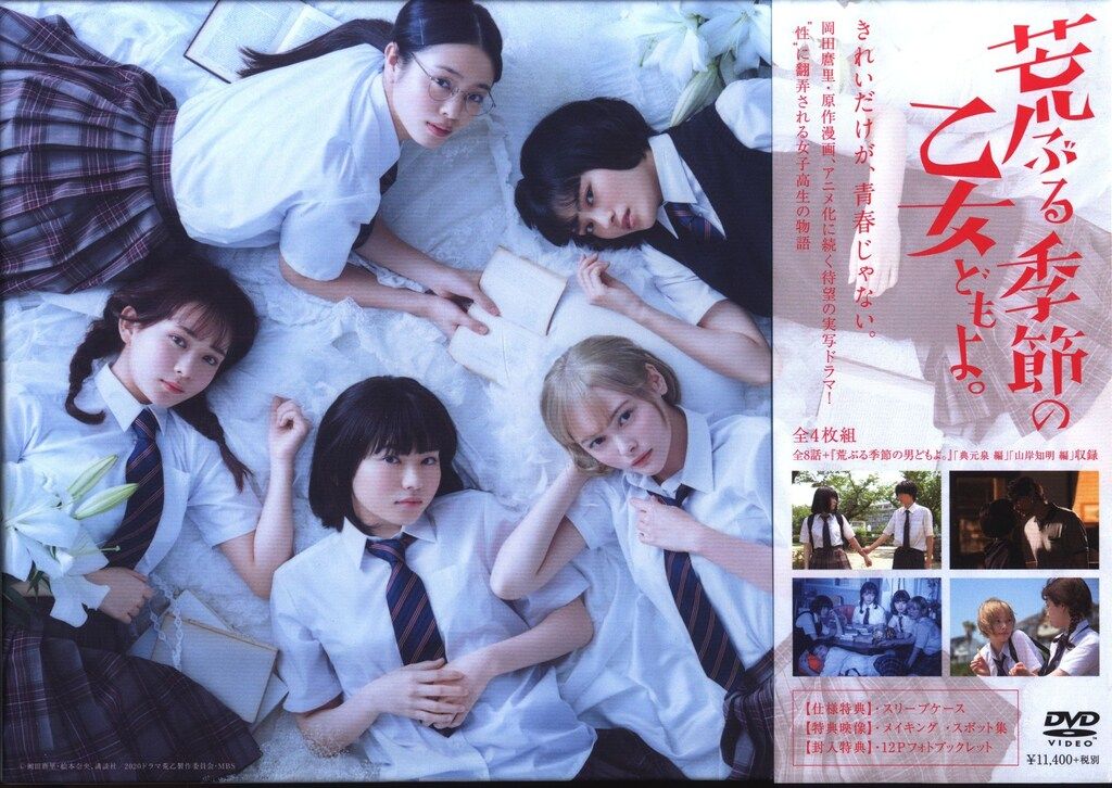 荒ぶる季節の乙女どもよ。／DVD-BOX（送料無料・4枚組