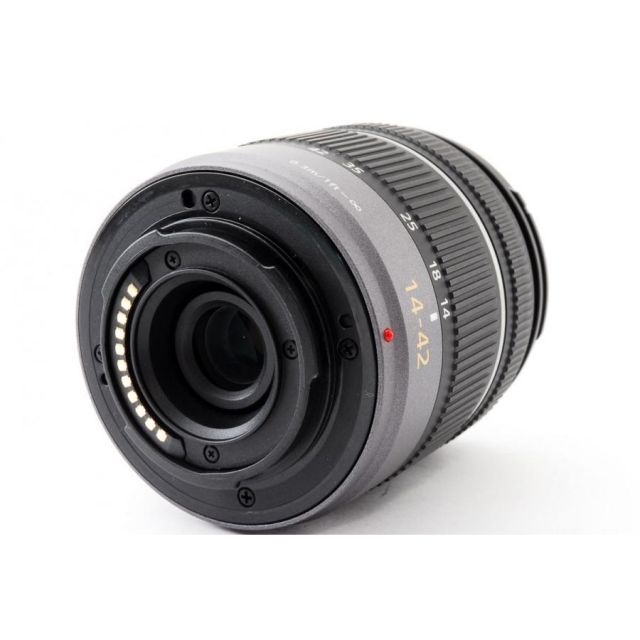 パナソニック ミラーレス Panasonic LUMIX DMC-GF3 レンズキット
