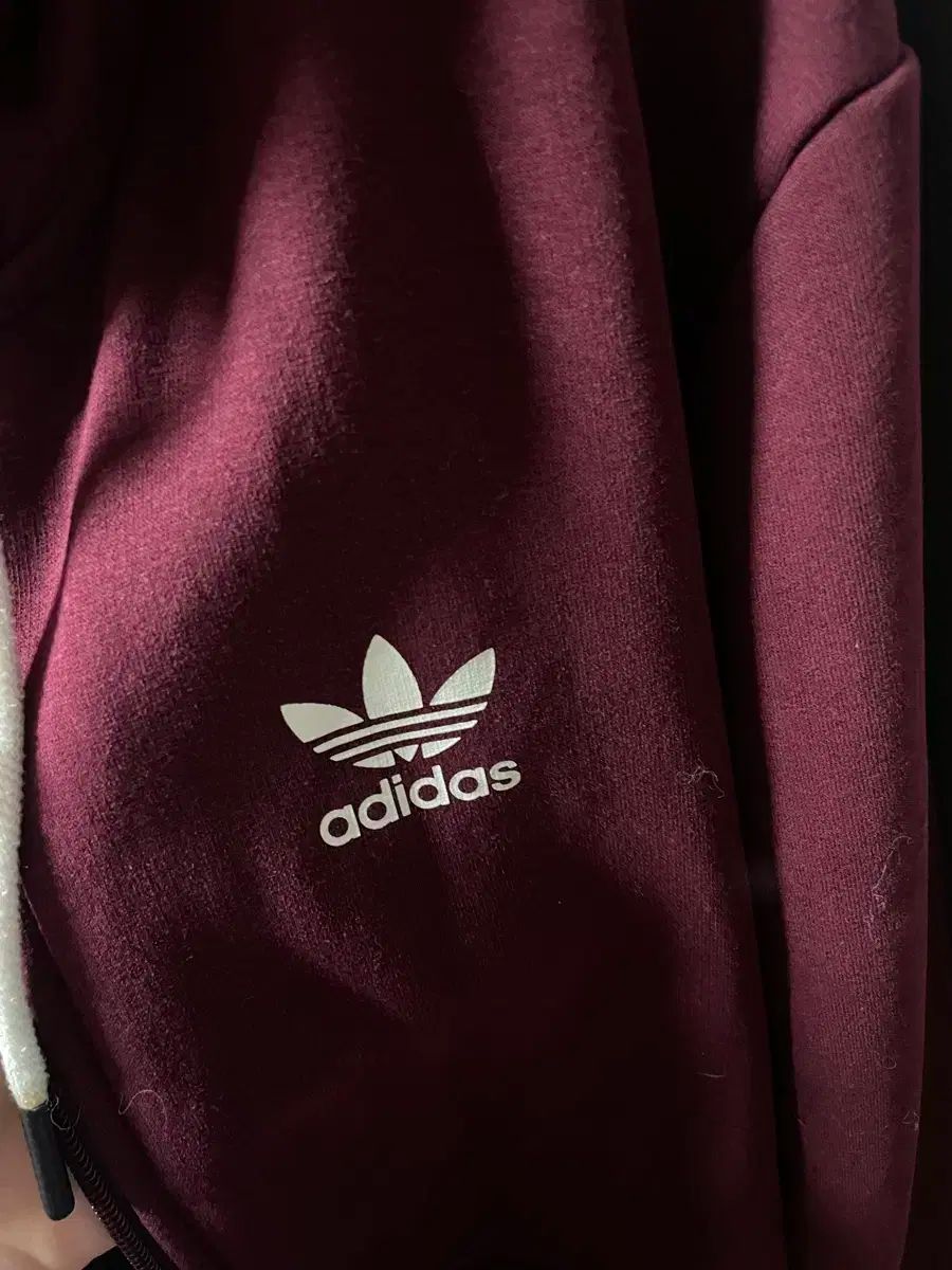 フードジップアップ