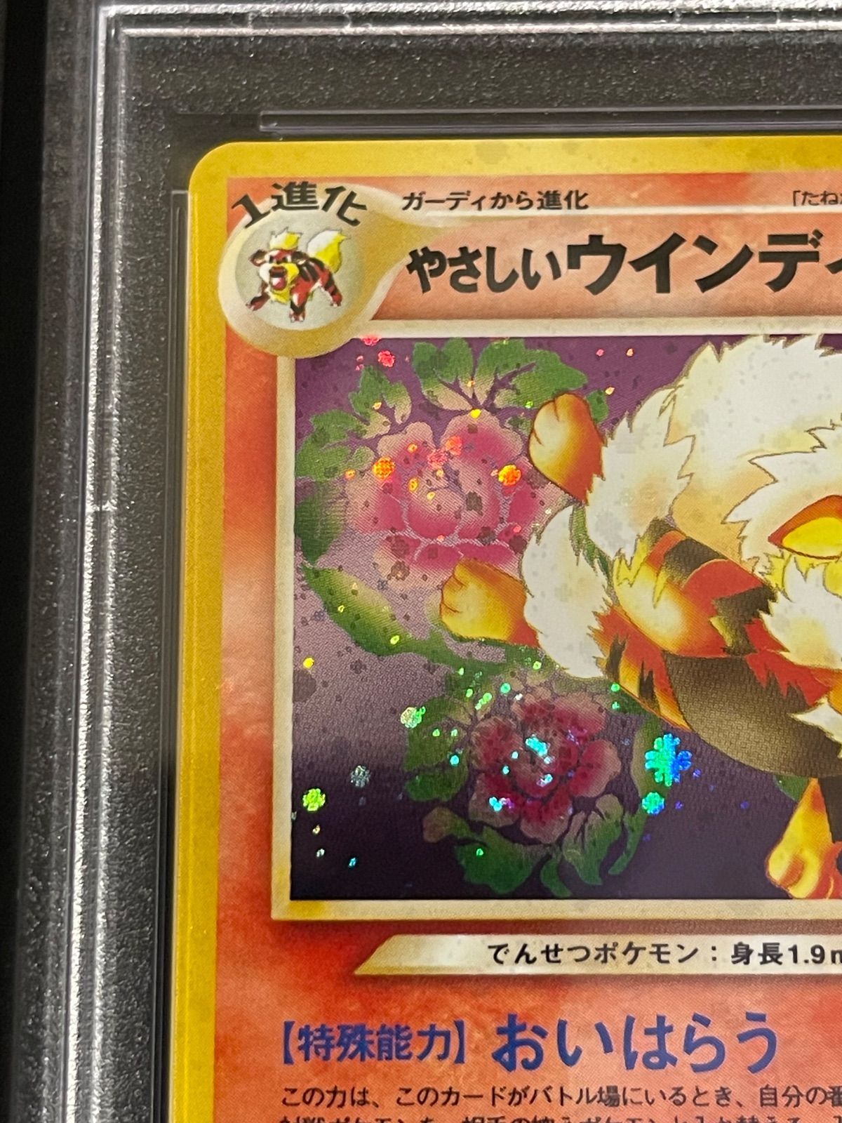 ポケモンカード 2001年 やさしいウィンディ 旧裏 PSA10鑑定品