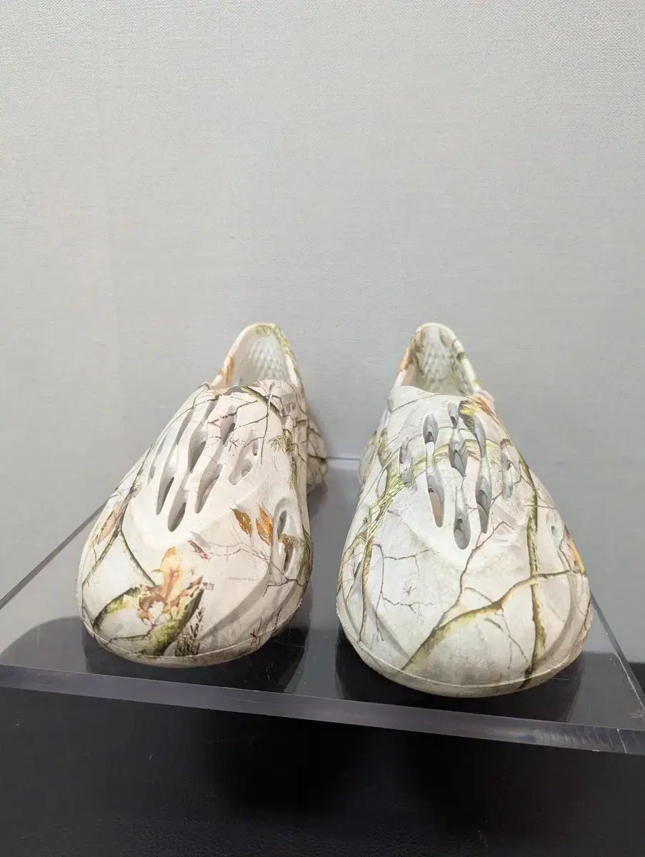 ジャガイモ ロブスター