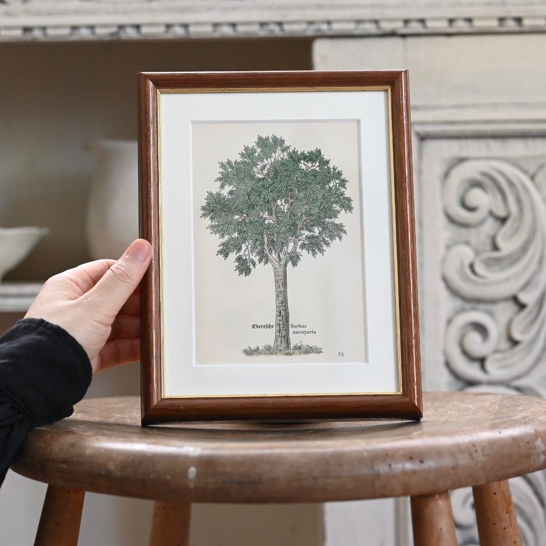 西洋絵画 アンティーク ヴィンテージ 額縁 額装 西洋絵画 アンティーク ヴィンテージ 額縁 額装 - 絵画
