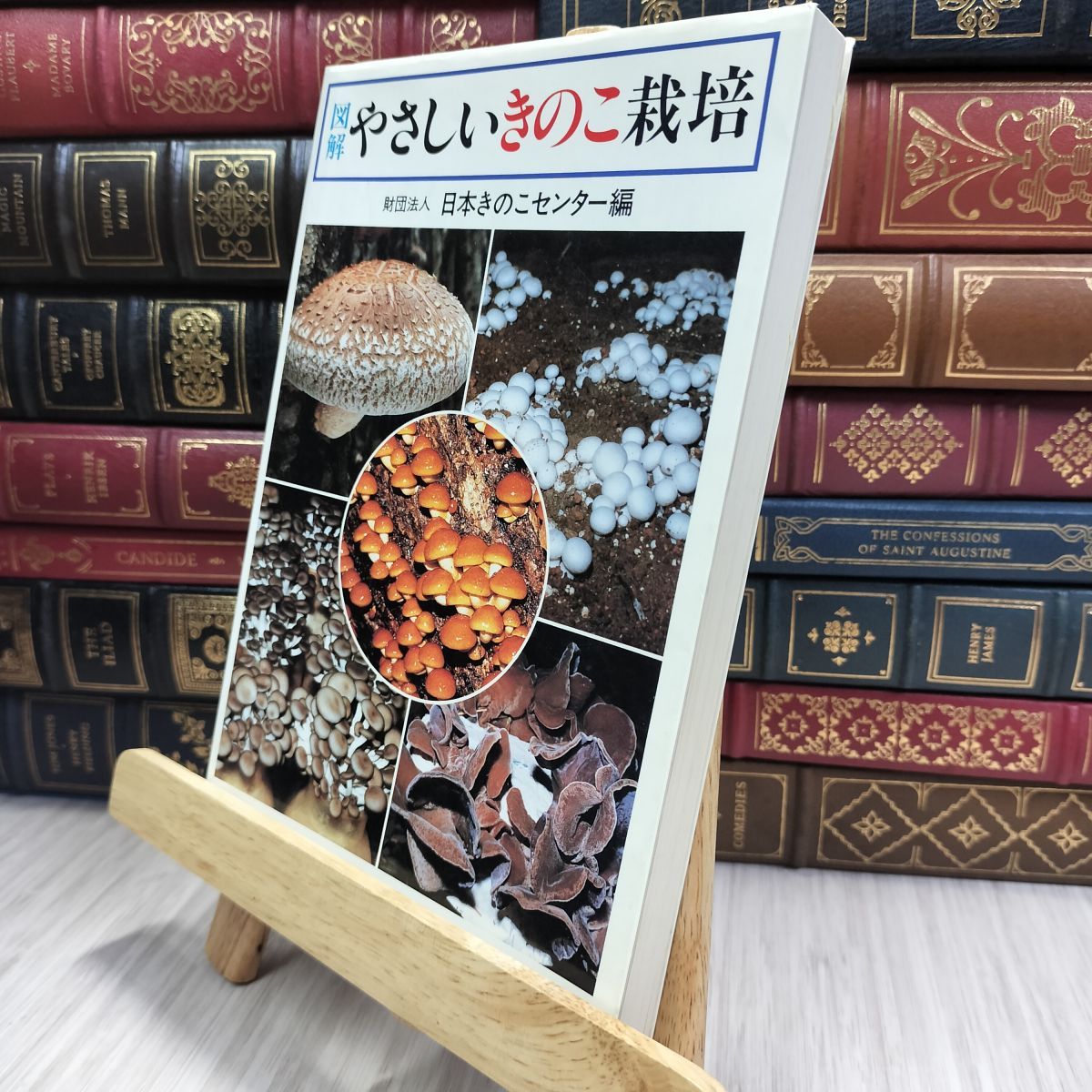 【中古】 図解よくわかるきのこ栽培/家の光協会/日本きのこセンター 図解 よくわかる きのこ栽培 中古品｜Yahoo!フリマ（旧PayPay