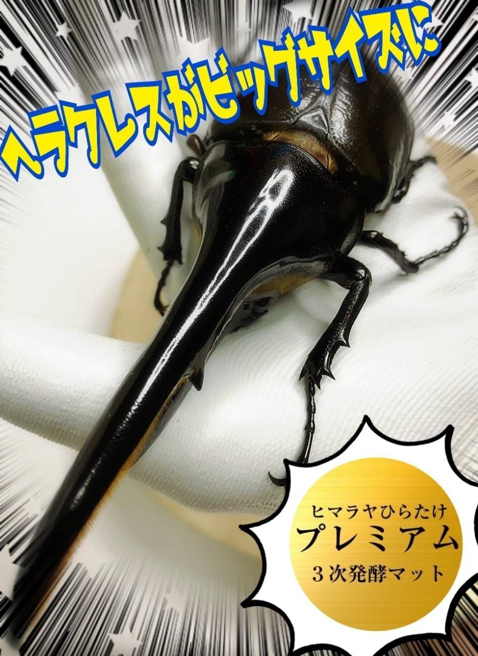 ビックサイズ狙える！プレミアム3次発酵カブトムシマット【50L】特殊