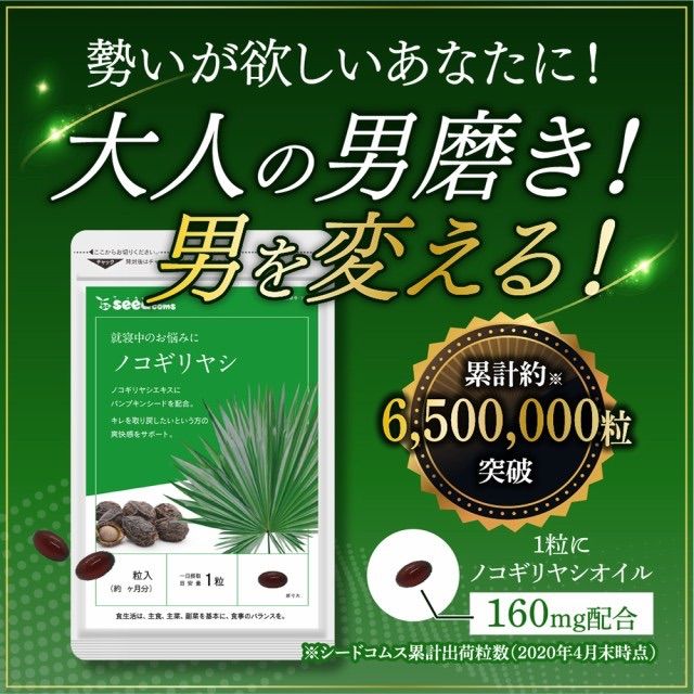 ノコギリヤシ サプリメント ②袋 - 健康用品