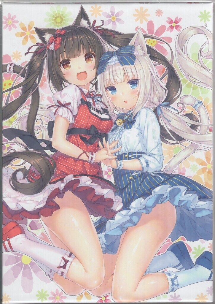 一部 アニメBlu-ray AmazonBOX付 ネコぱら Blu-ray BOX 全3巻セット