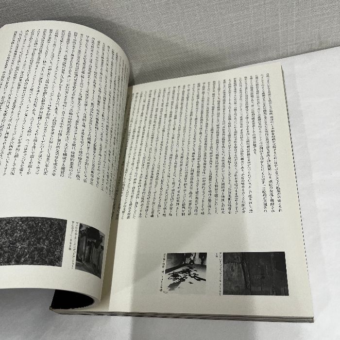 ほとばしる生命 画業50年 須田剋太展 朝日新聞社 1992年 図録
