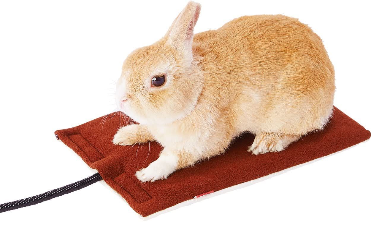 【人気商品】ペティオ (Petio) ペットのための電気ヒーター ハード2 S