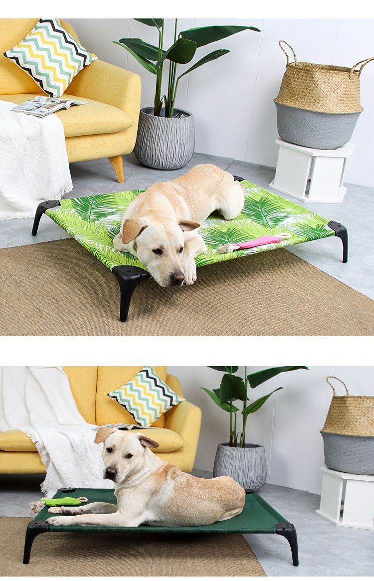 高架式犬用ベッド 犬用