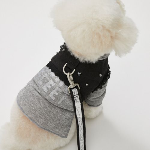 louisdog ルイドッグ