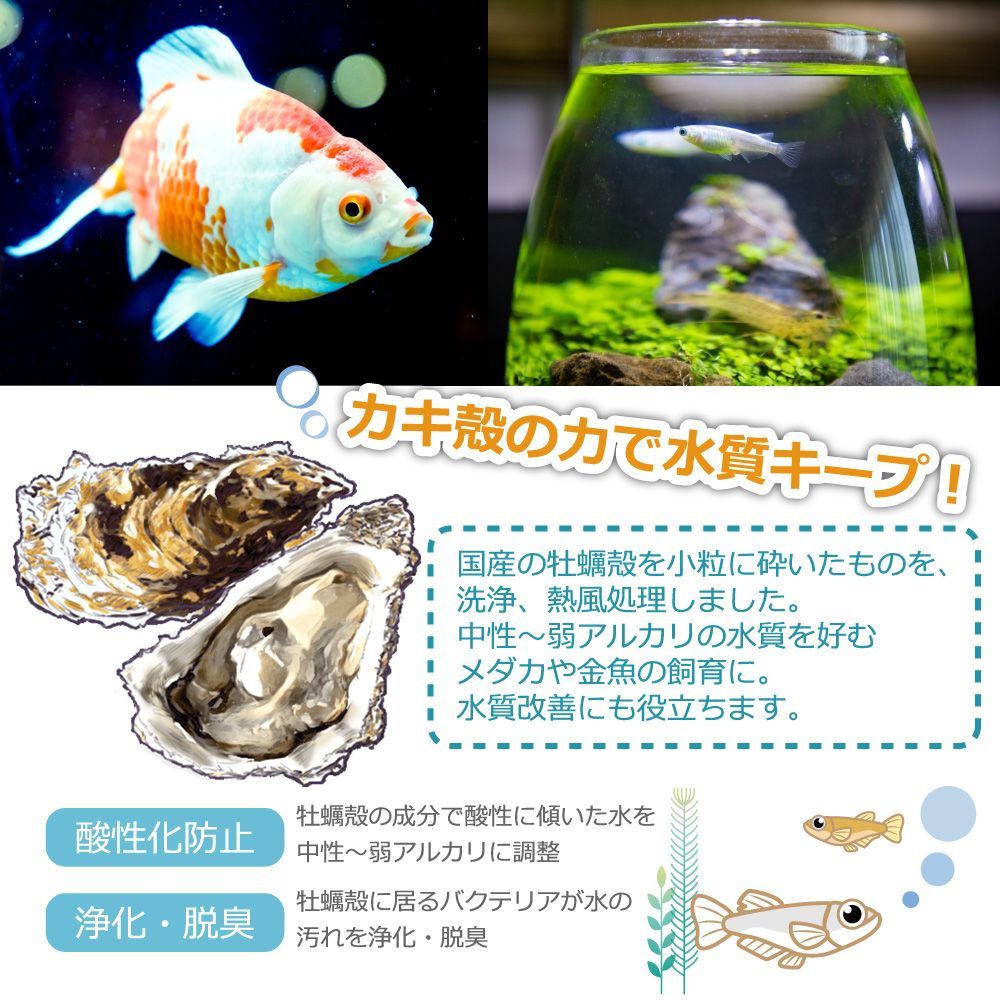 広島県産 牡蠣殻 4〜8mm 80g×40袋 アクアリウム 水質調整