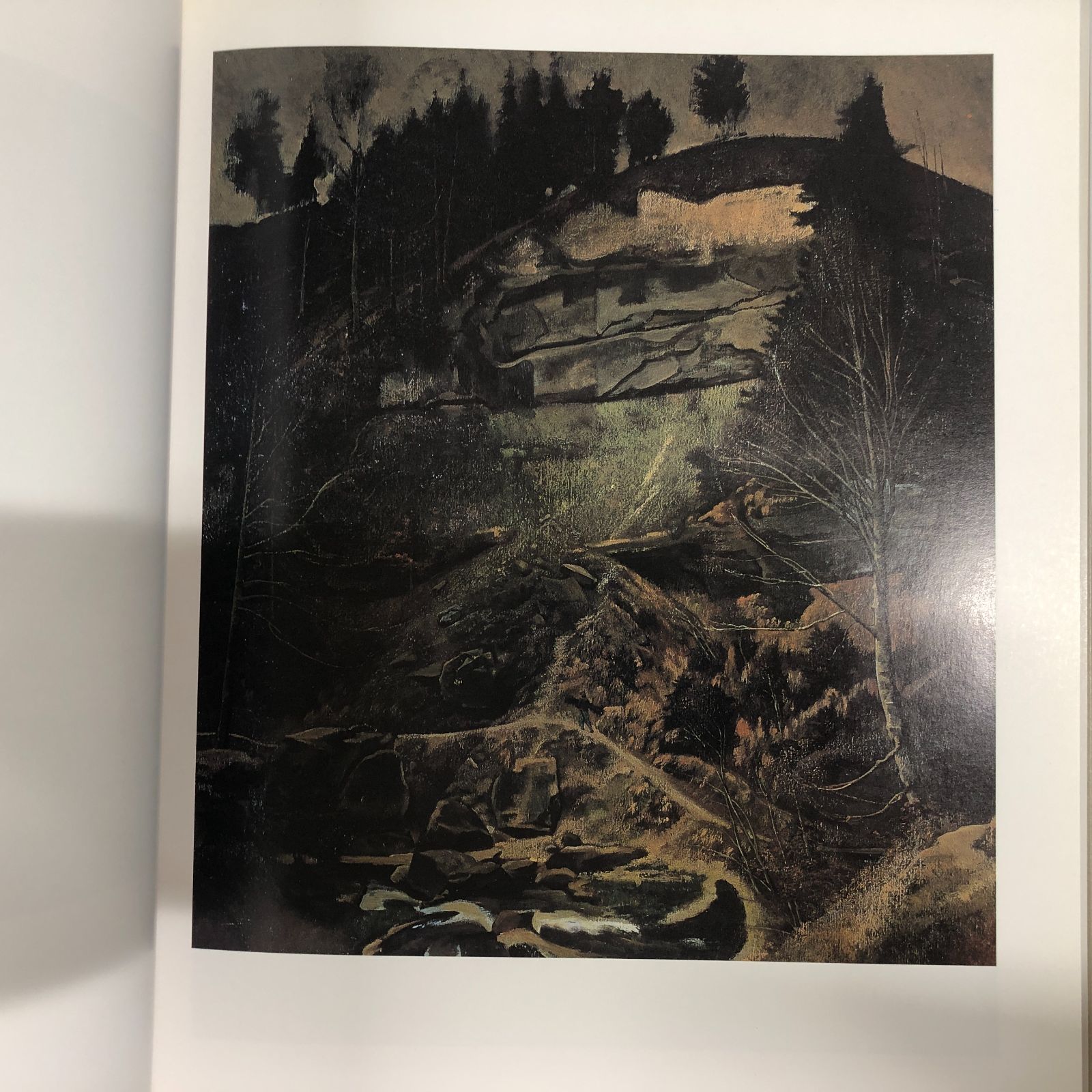 C]図録 バルテュス展 1993 BALTHUS - メルカリ