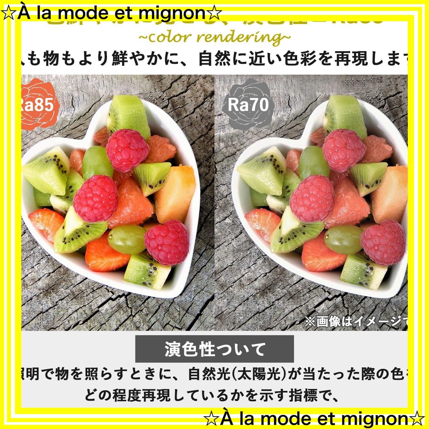 室内|天井照明