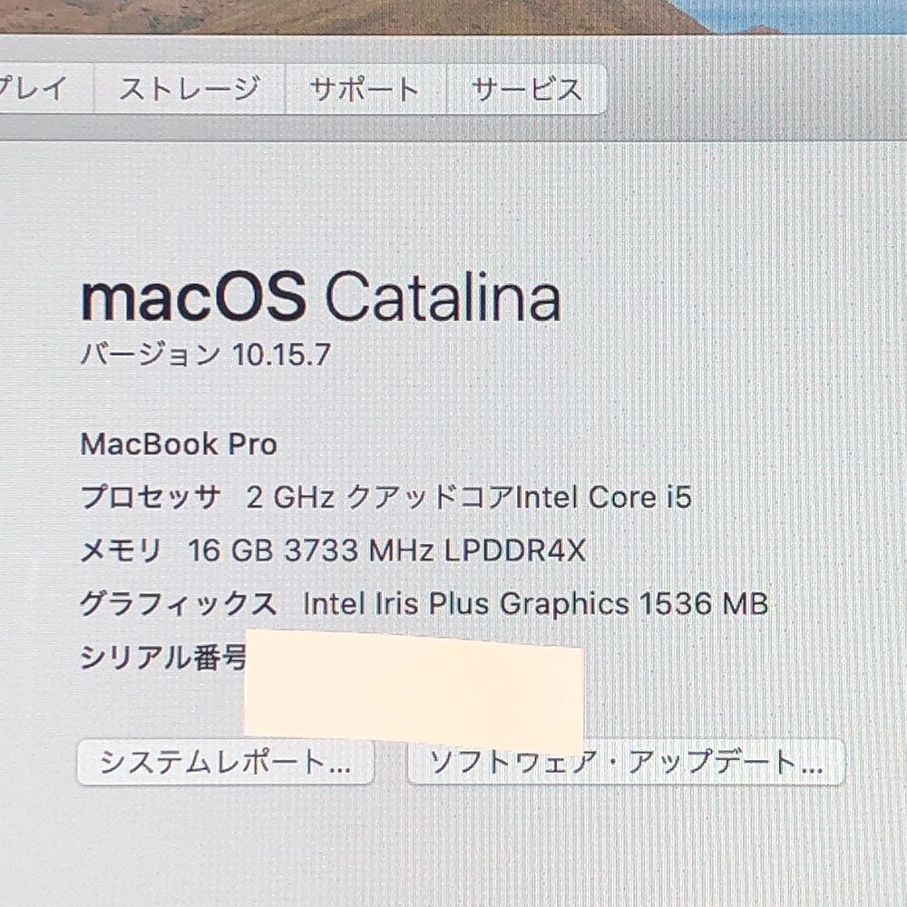 ◇ジャンク品・本体のみ◇Apple MacBook Pro (13インチ 2020