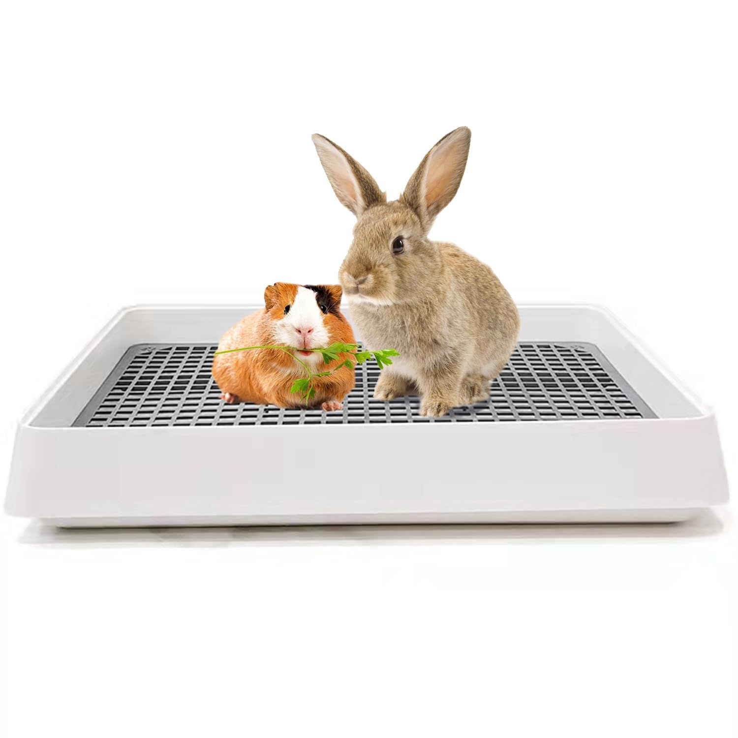 【迅速発送】KEYIDE モルモット トイレ 四角 うさぎ トイレ 大きい メッシュスノコ 小動物用トイレ 大型 ウサギ用品 高齢者 おなやみ解決 38×31cm【広いスペース快適に】