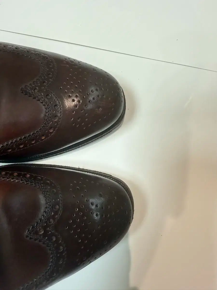 ウイングチップ