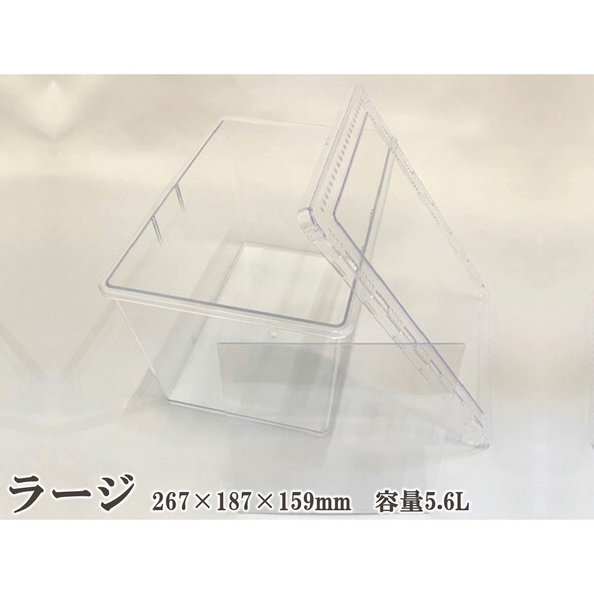 DDA】クリアースライダー ラージ 4個セット dda クワガタ
