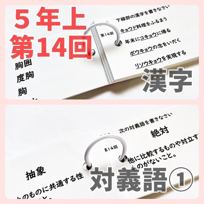 中学受験 暗記カード【5年上 理科11-19回】予習シリーズ 組み