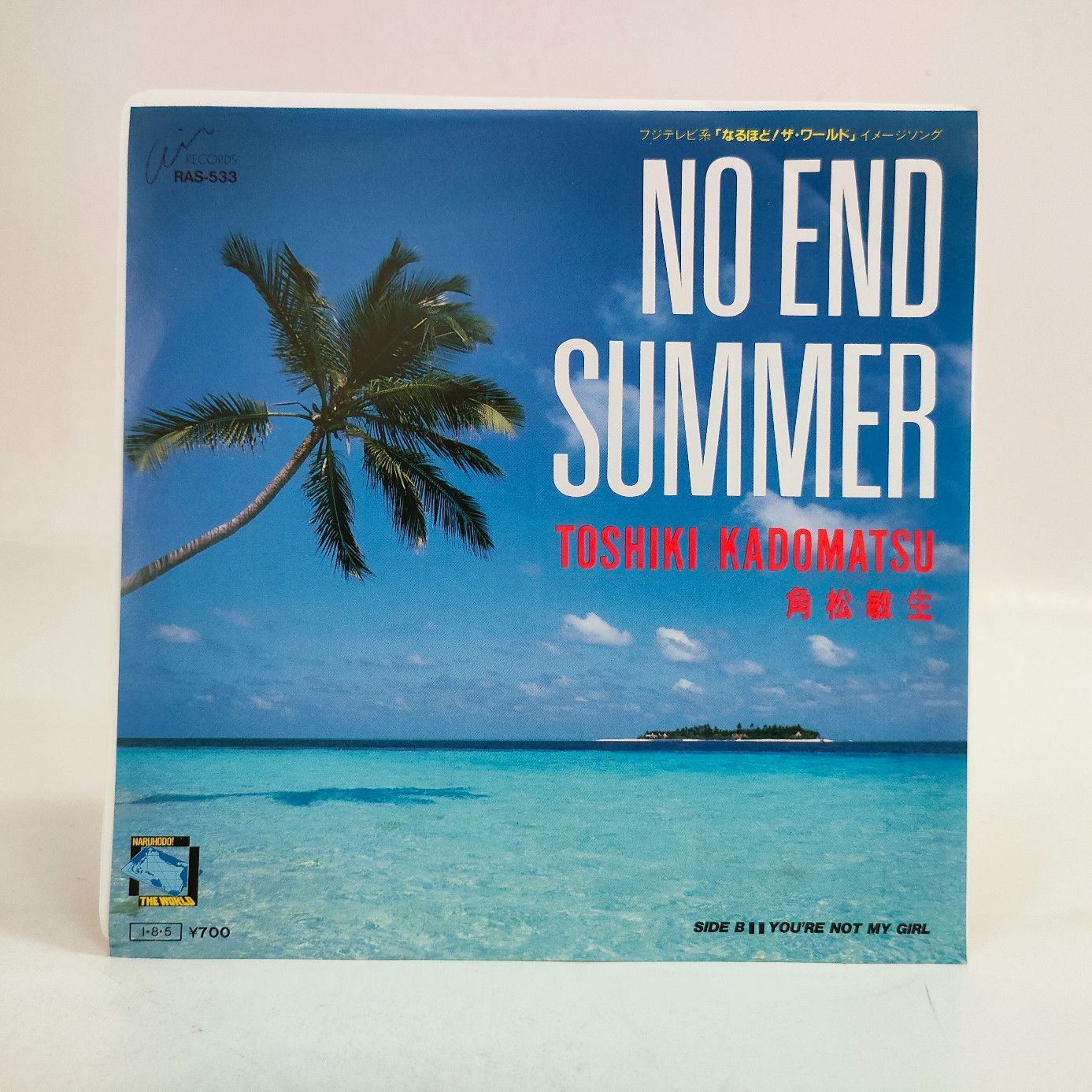 角松敏生 / NO END SUMMER EP盤 - 邦楽