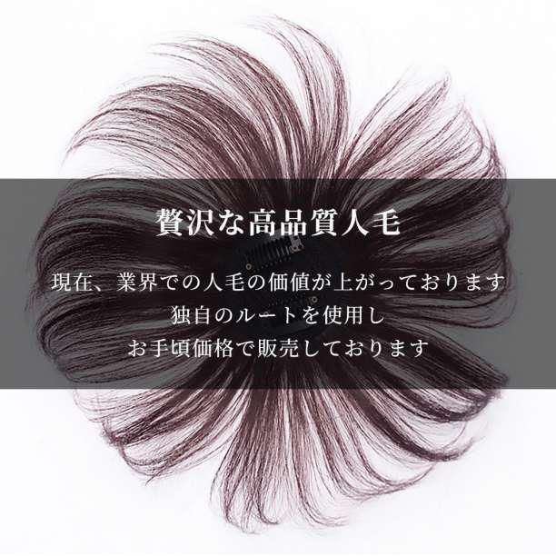 頭頂部 ウィッグ 部分かつら ヘアピース 自然 ブラウン つけ毛 メンズ