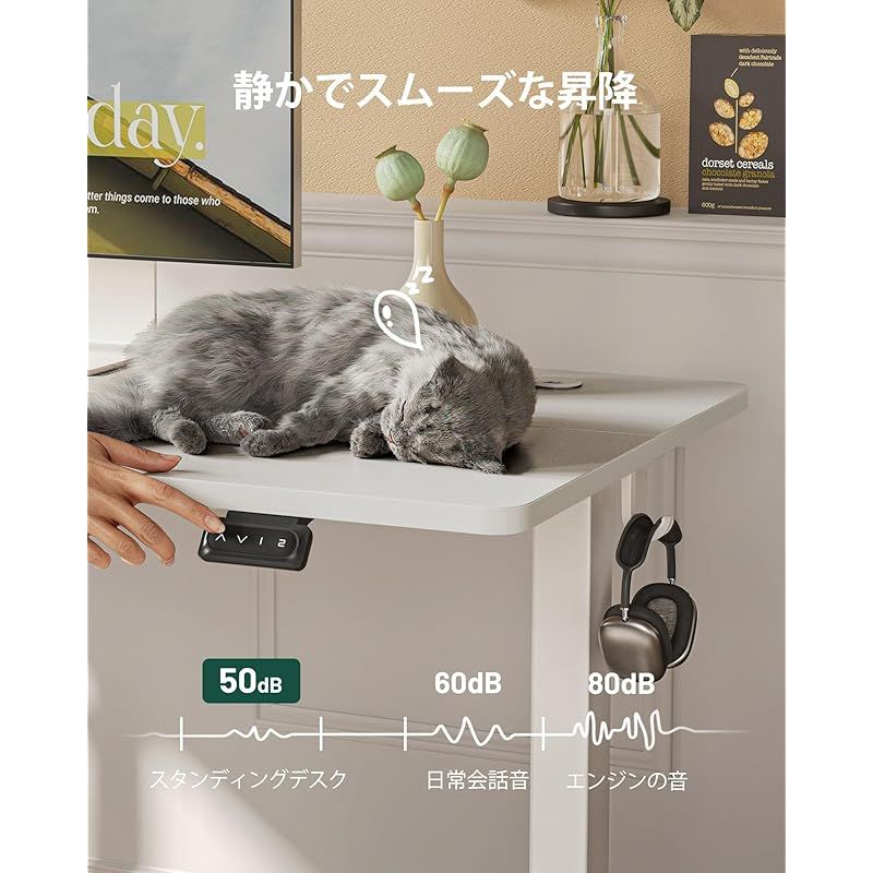 Cubiker 電動 昇降式デスク スタンディングデスク 昇降デスク 幅100cm