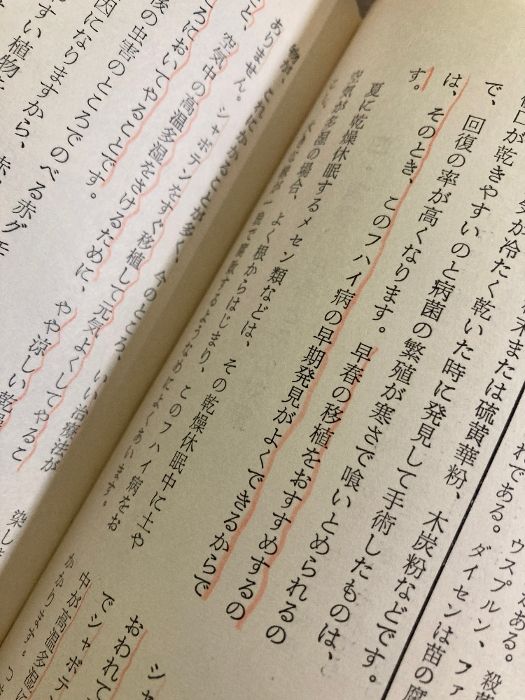 シャボテン幻想 (ちくま学芸文庫 リ 9-1) | 龍膽寺 雄 |本