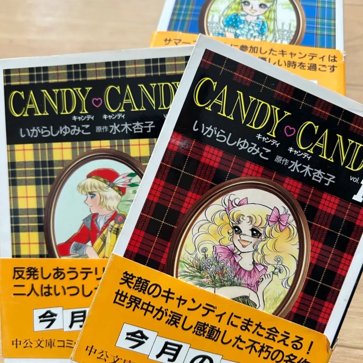 キャンディキャンディ 文庫版 全巻セット キャンディ キャンディ